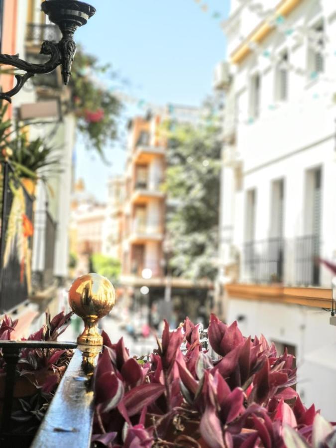 Casa Alfalfa 2 Dormitorios Terraza Y Solarium Privado Sevilla Eksteriør billede